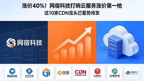 漲價(jià)40% 網(wǎng)宿科技打響云服務(wù)漲價(jià)第一槍，10家CDN龍頭蓄勢(shì)待發(fā)